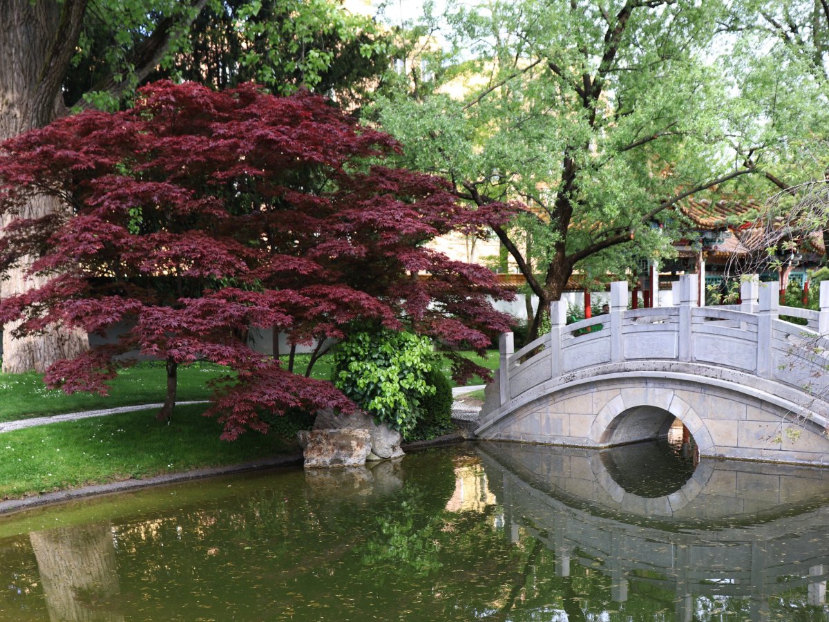 Ein Stück China in Zürich: der Chinagarten